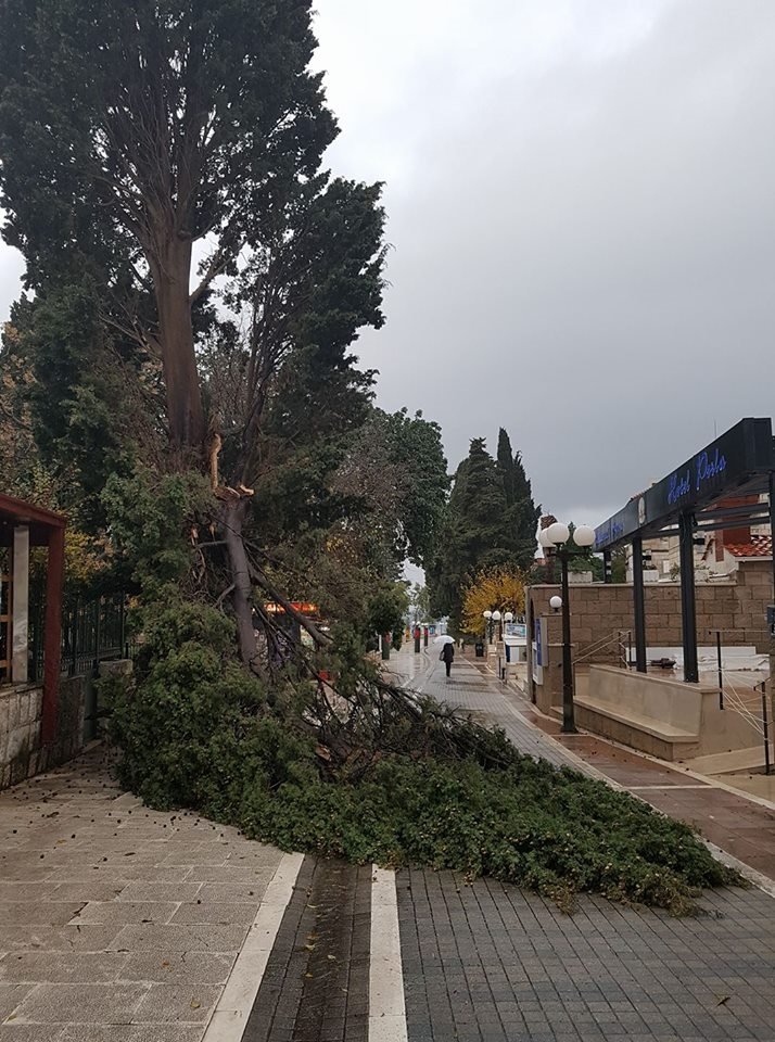 Ivana Mijić Vulinović/Facebook