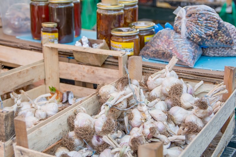 . Paula Mattos Habit