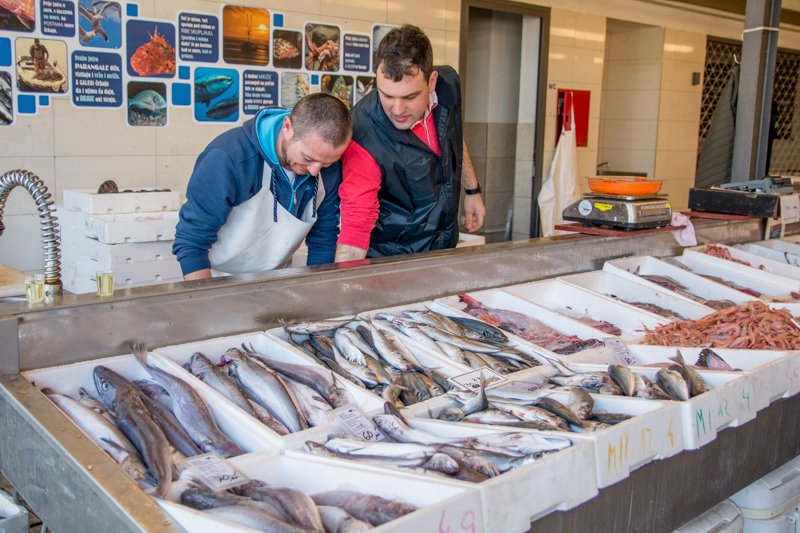 . Paula Mattos Habit