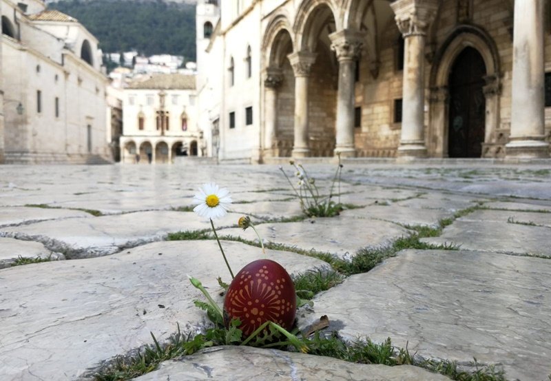 Trava i jaje niknuli ispred Dvora