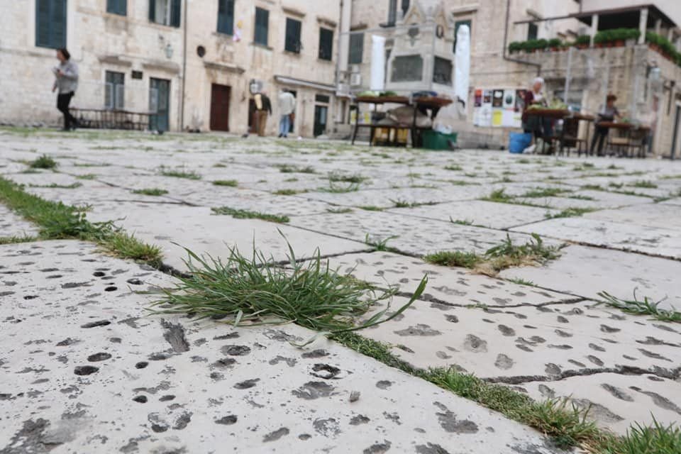 Goran Mratinović/DD