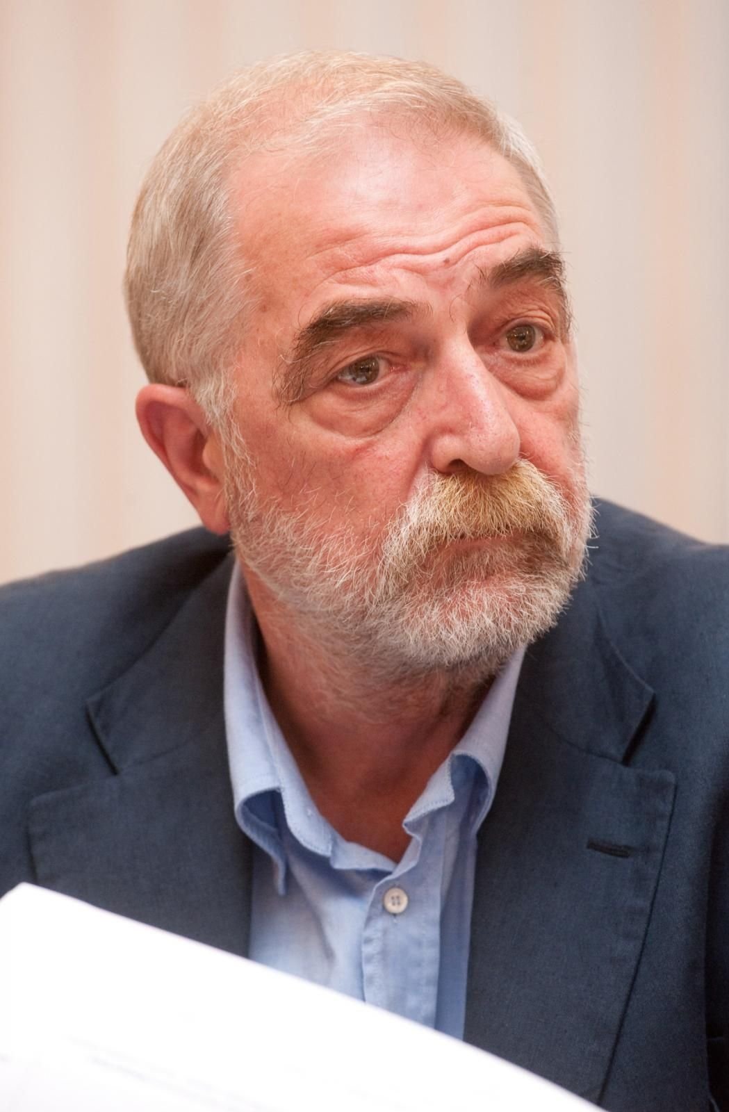 Davorin Visnjic/Pixsell