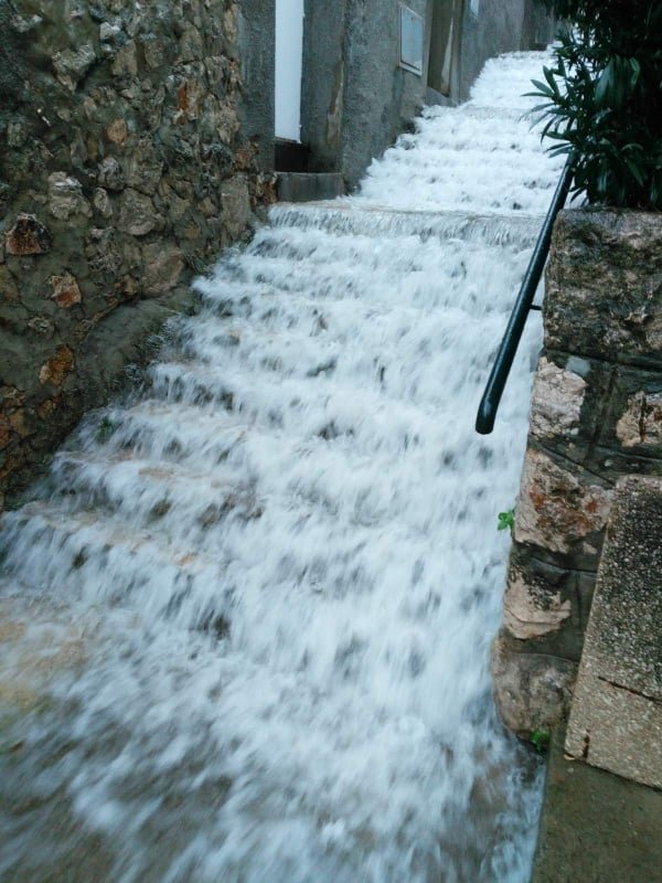 Čitateljica