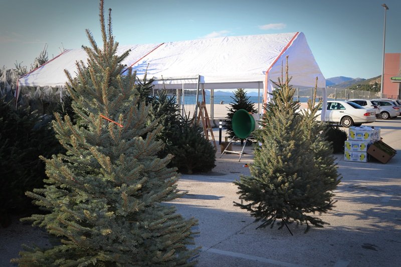 Goran Mratinović / DD