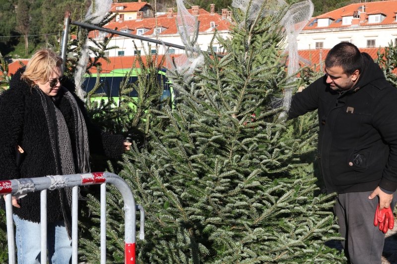 Goran Mratinović/DD