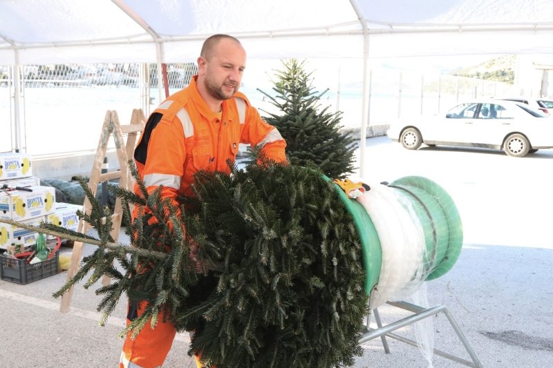 Goran Mratinović/DD