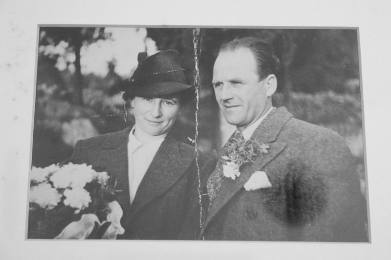 Goran Mratinović/DD