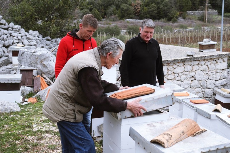 . Goran Mratinović/DD