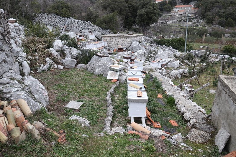 Goran Mratinović/DD