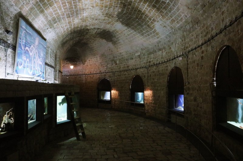 Goran Mratinović/DD