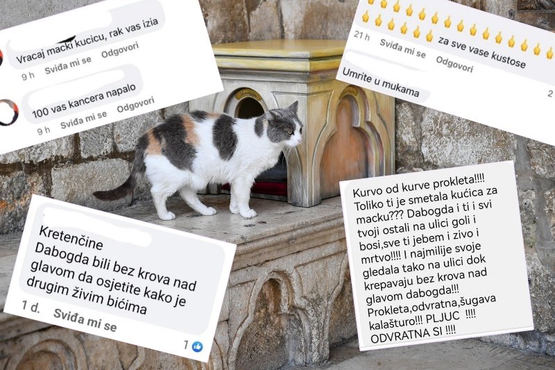 Grgo Jelavić/PIXSELL/Dubrovački muzeji/Ilustracija DD