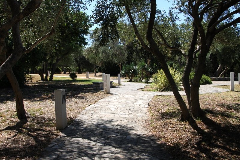 Goran Mratinović/DD