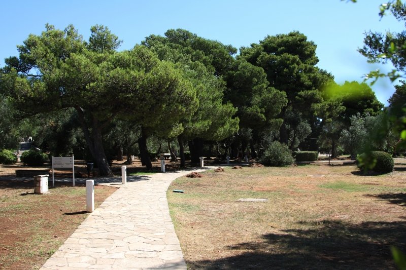 Goran Mratinović/DD