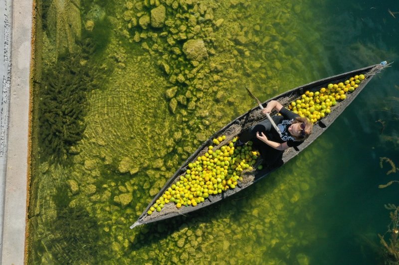 Matko Begovic/PIXSELL