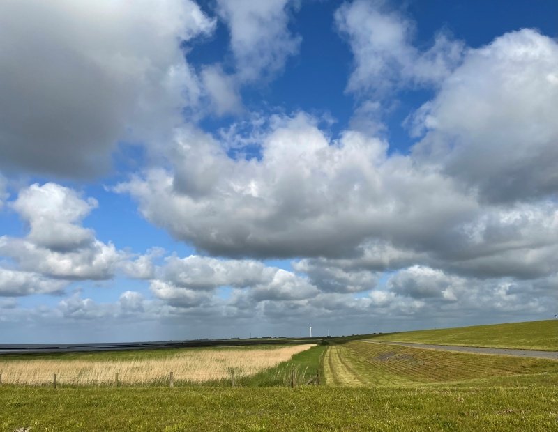 Friederike Bungenstock