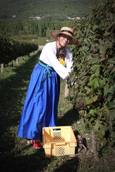 Goran Mratinović/DD