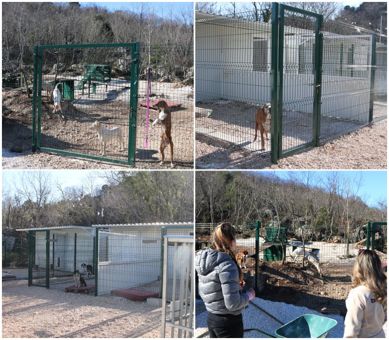 Goran Mratinović/DD