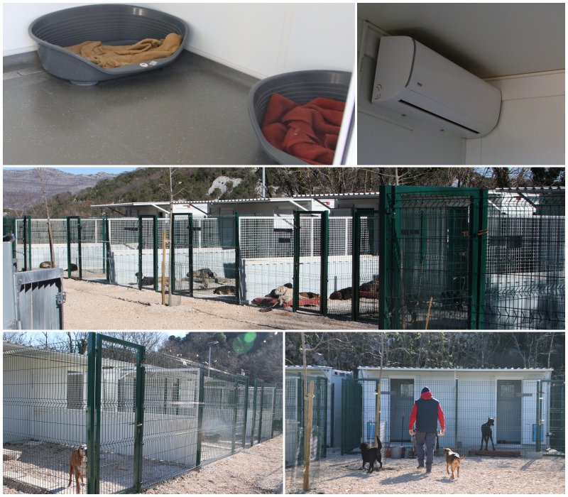 Goran Mratinović/DD