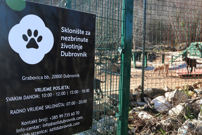 Goran Mratinović/DD