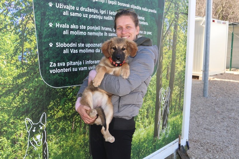 Goran Mratinović/DD