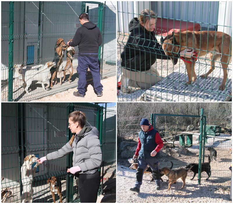 Goran Mratinović/DD