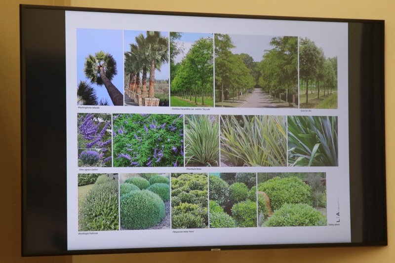 Goran Mratinović/DD