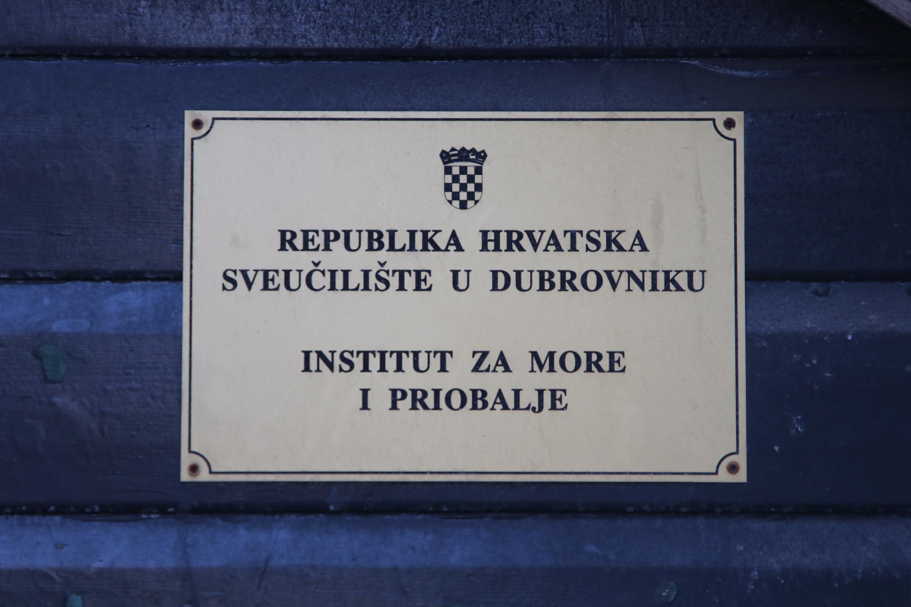 Goran Mratinović/DD