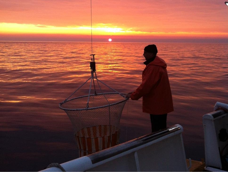 Institut za more i priobalje