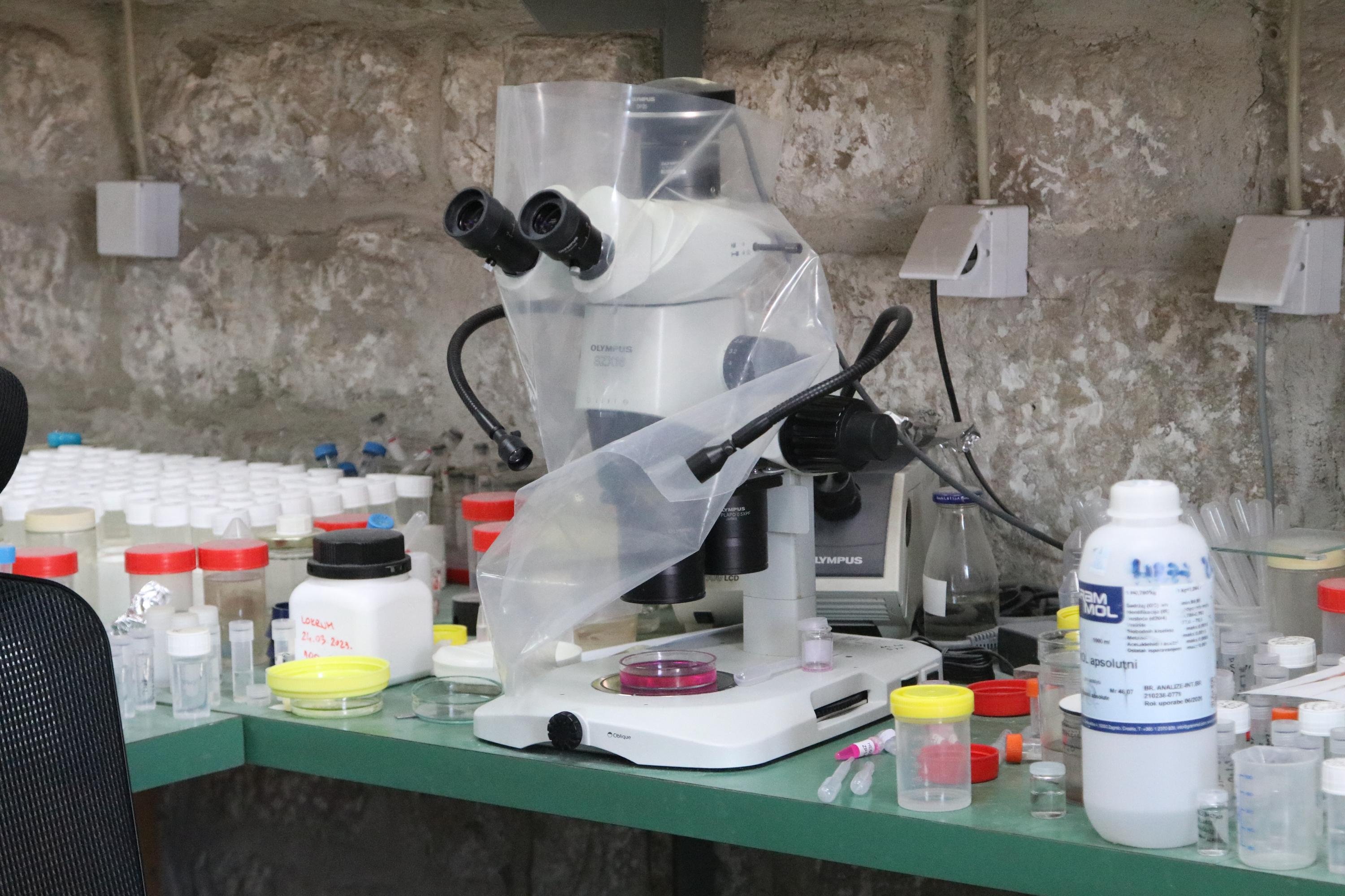 Goran Mratinović/DD