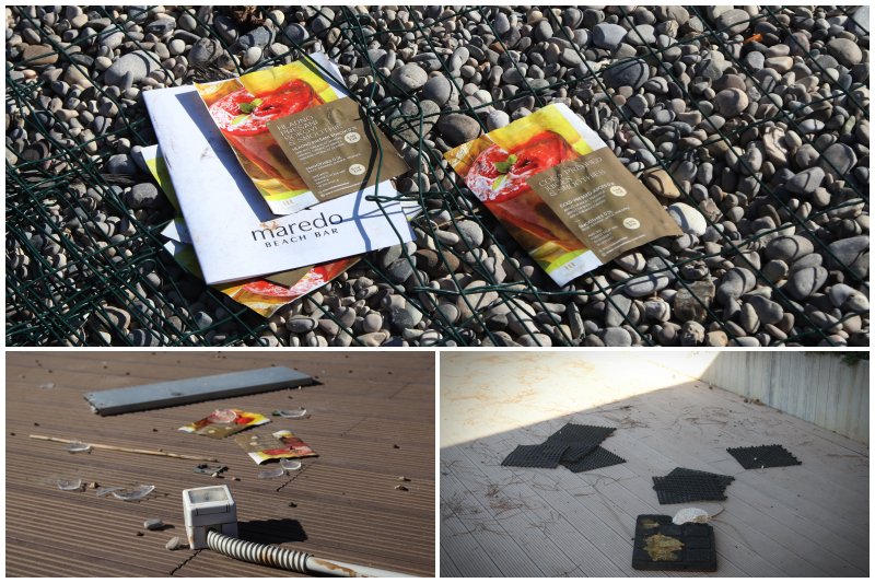 Goran Mratinović/DD