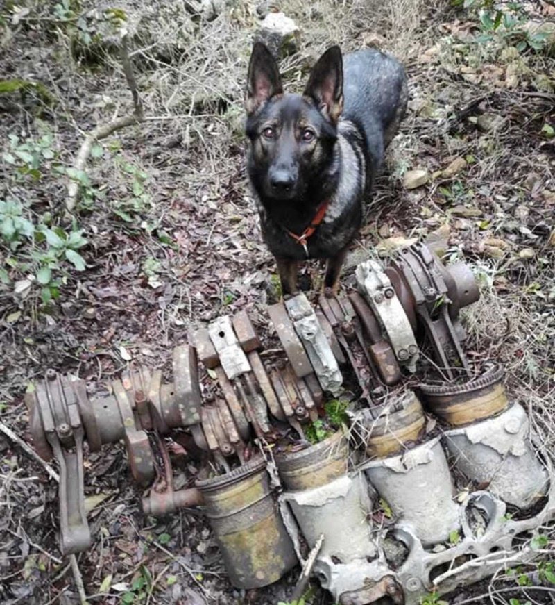 . Goran Mratinović/DD