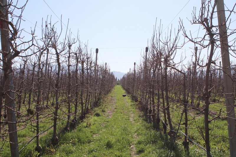 . Goran Mratinović/DD