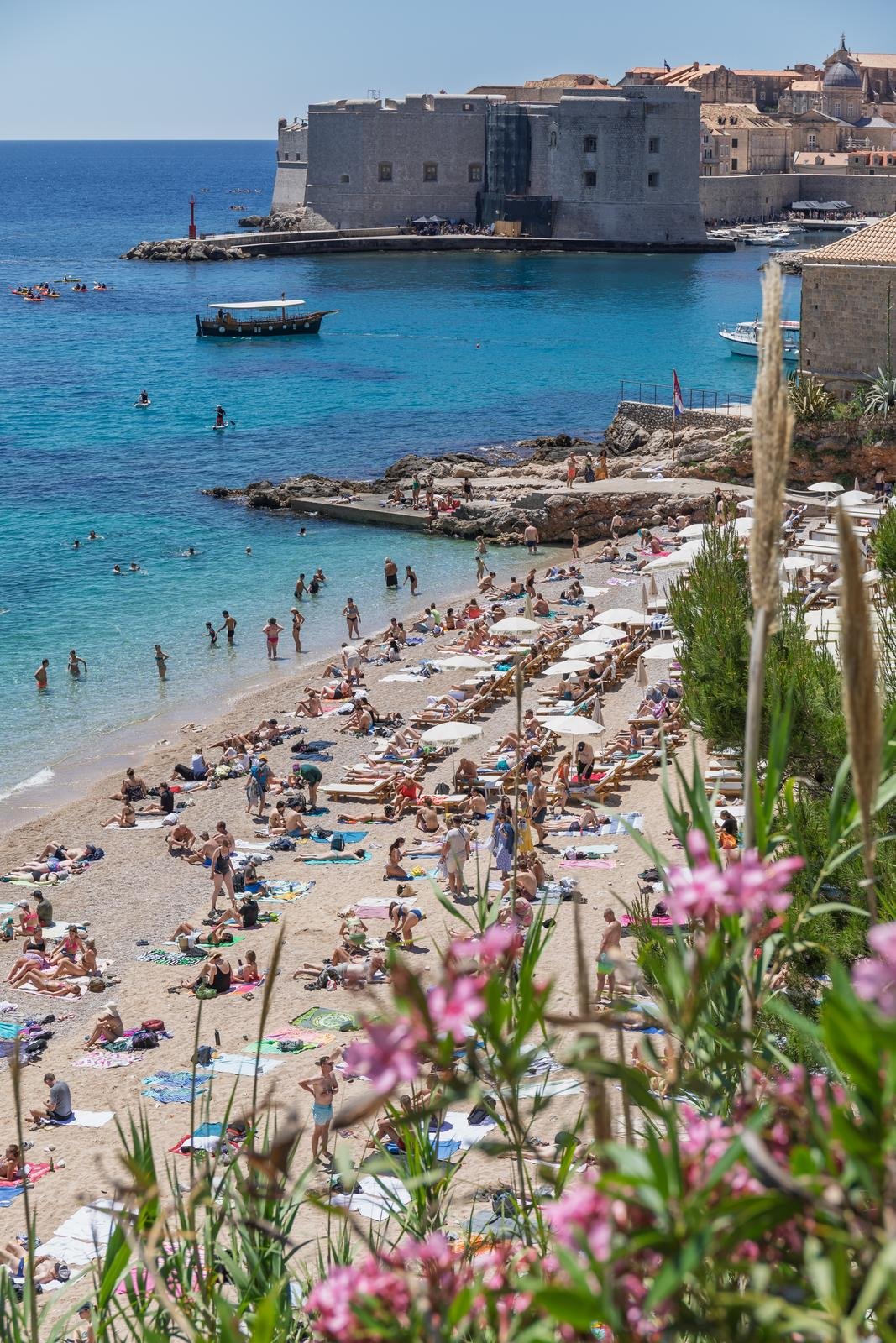 Grgo Jelavić/PIXSELL