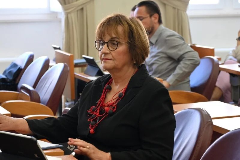 Petra Srebrović