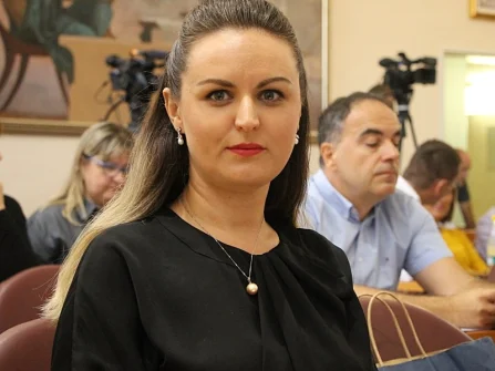 Opis slike