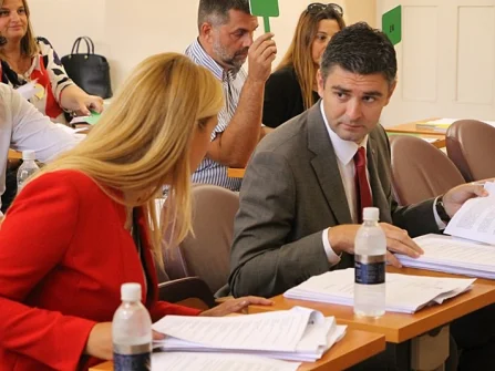 Opis slike