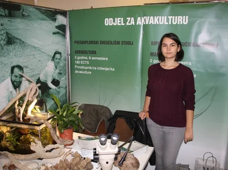 Opis slike
