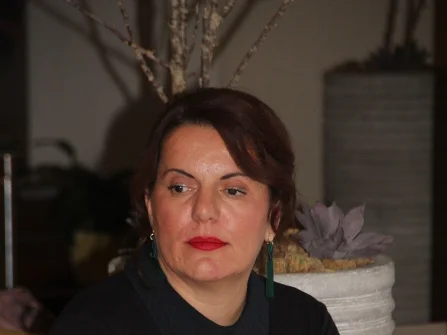 Opis slike