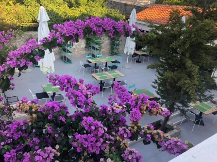 Opis slike