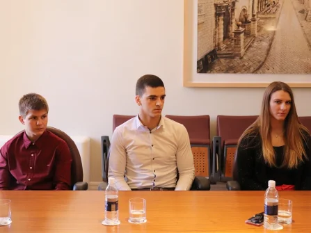 Opis slike