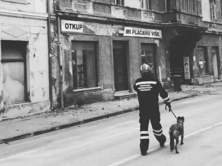 Opis slike