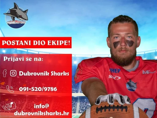 Alt za sliku
