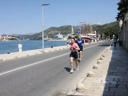 Opis slike