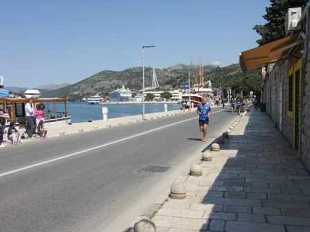 Opis slike