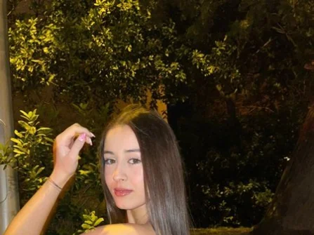 Opis slike