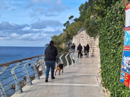 Opis slike