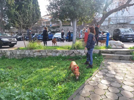 Opis slike