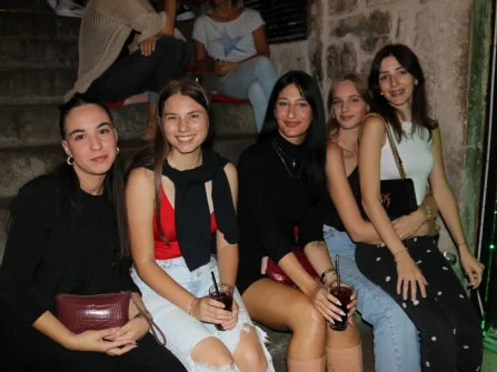 Opis slike