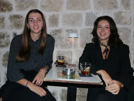 Opis slike