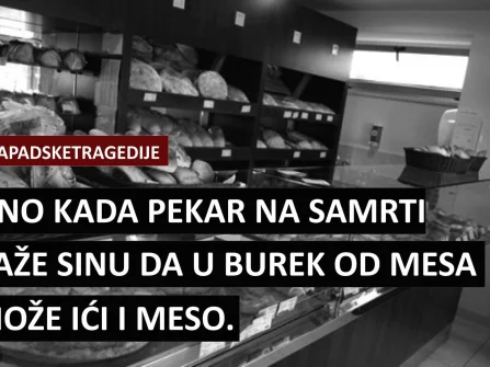 Opis slike